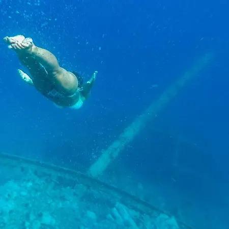 Apartmán House Medici Mimice