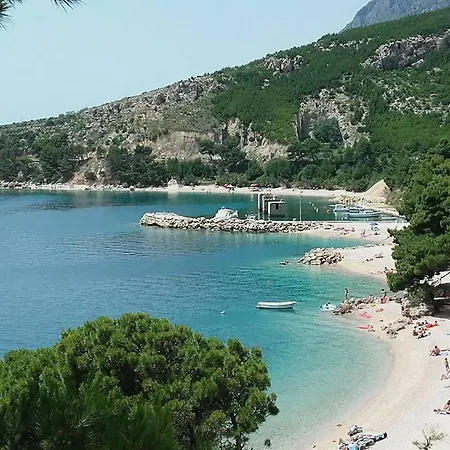 House Medici * Mimice