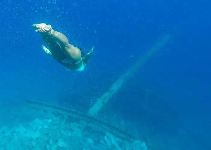 Appartement House Medici Mimice