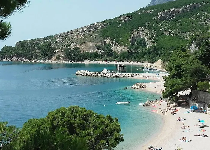 House Medici * Mimice